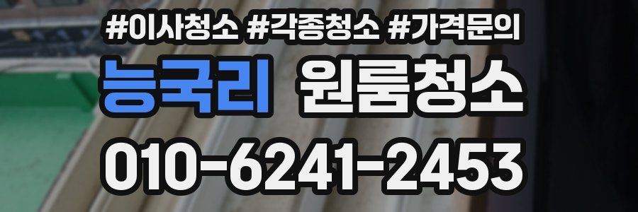 능국리 이사청소