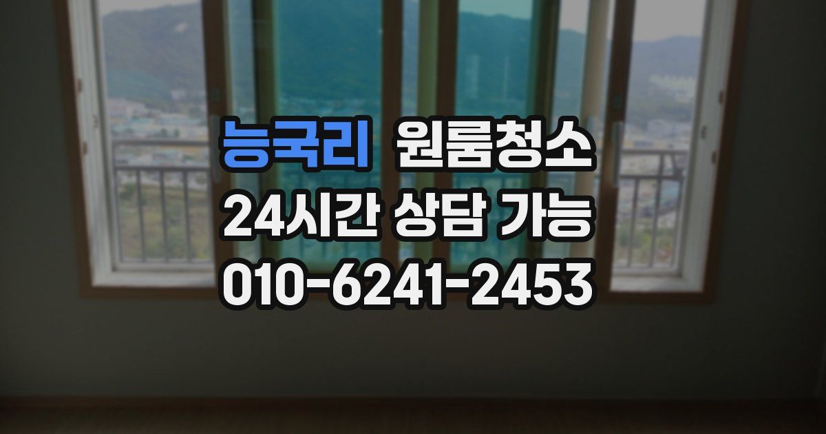 능국리 입주청소