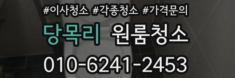 당목리 이사청소