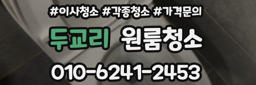 두교리 이사청소