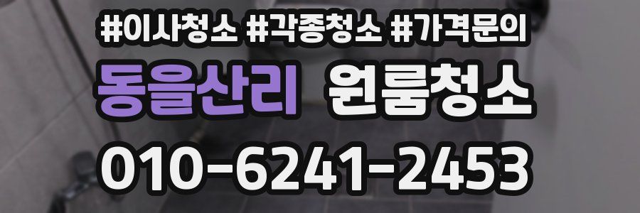 동을산리 이사청소