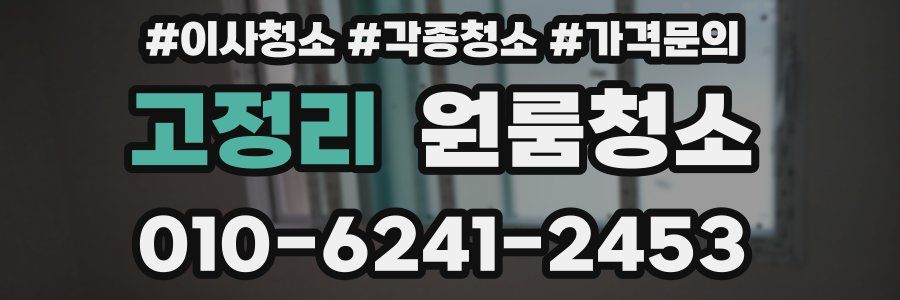 고정리 이사청소