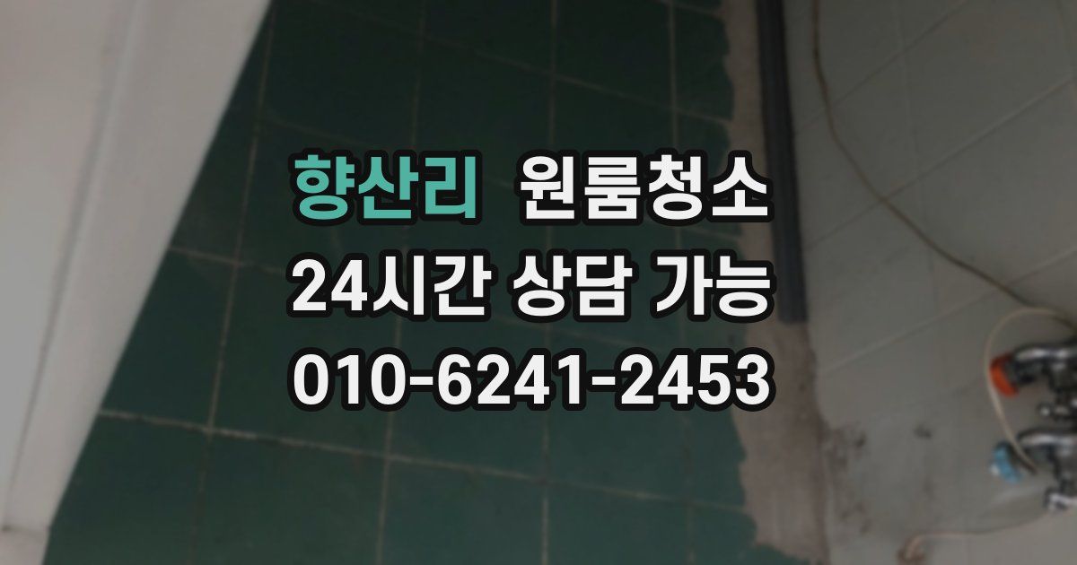 향산리 입주청소