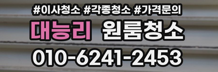 대능리 이사청소