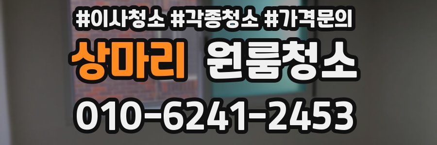 상마리 이사청소