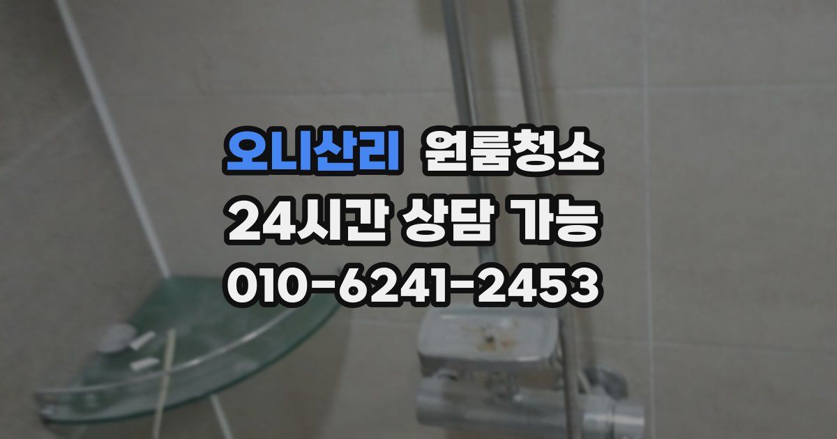 오니산리 입주청소