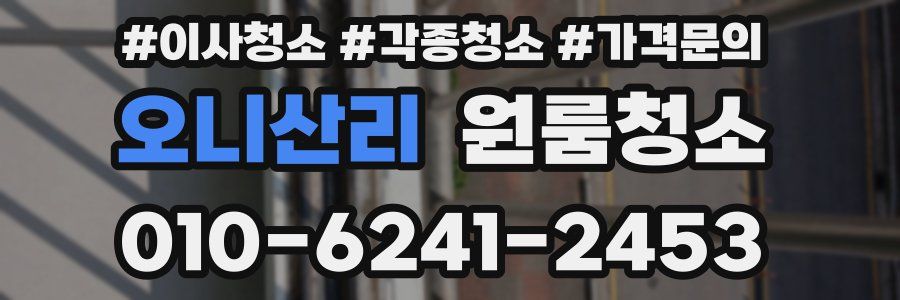 오니산리 이사청소