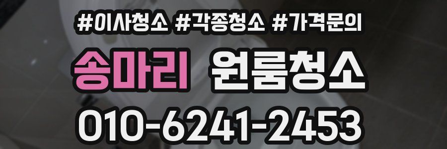 송마리 이사청소