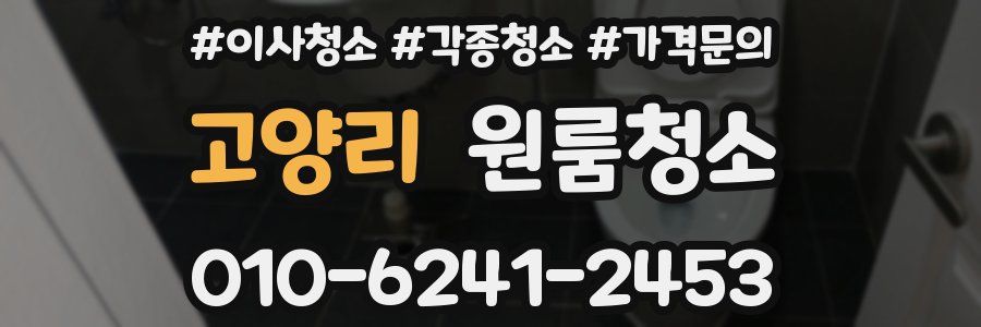 고양리 이사청소