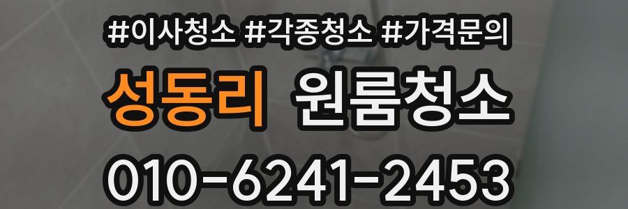 성동리 이사청소