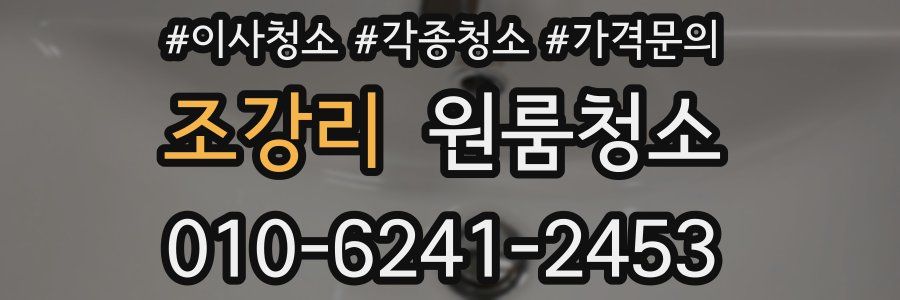 조강리 이사청소