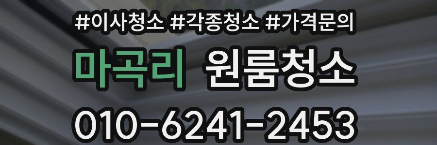 마곡리 이사청소