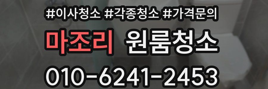 마조리 이사청소