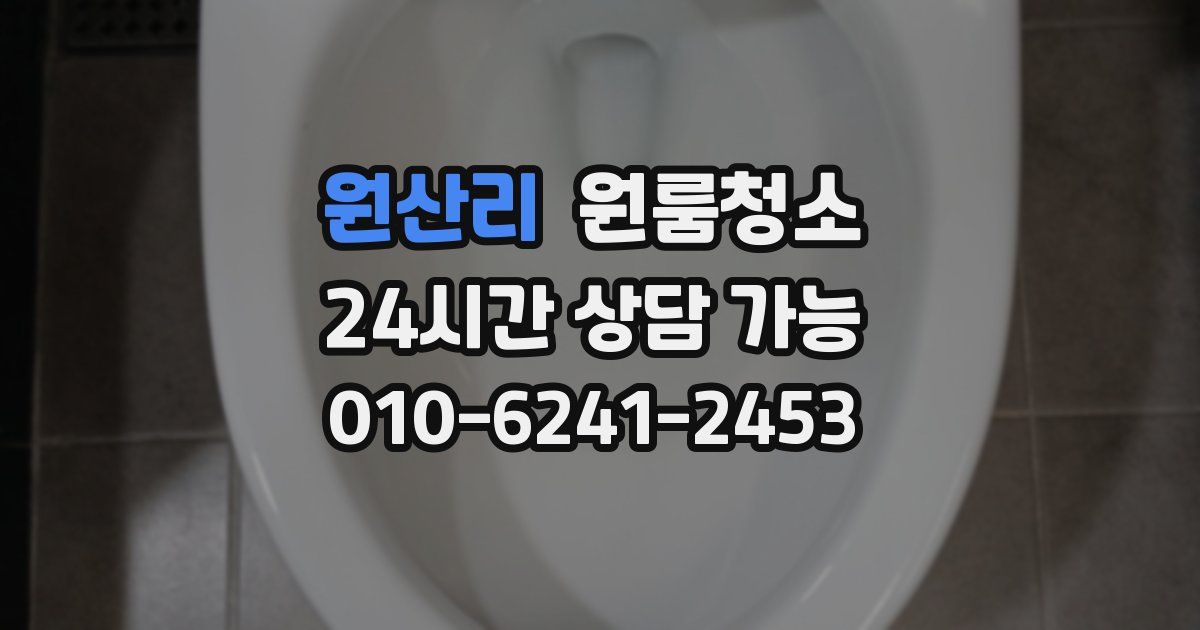 원산리 입주청소