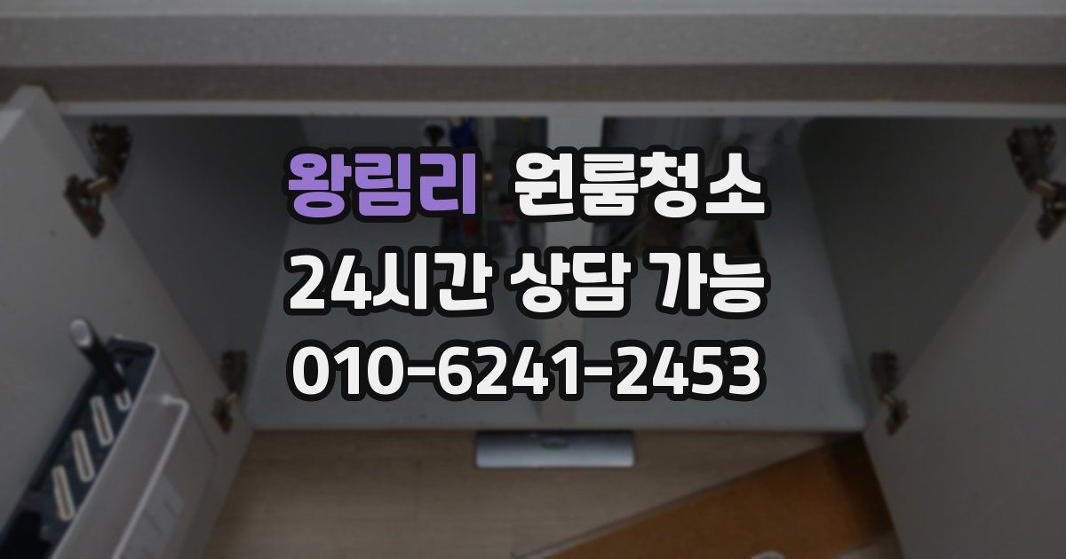 왕림리 입주청소