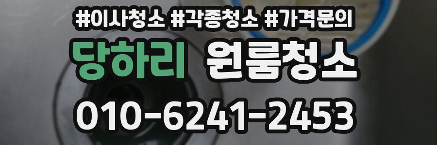 당하리 이사청소
