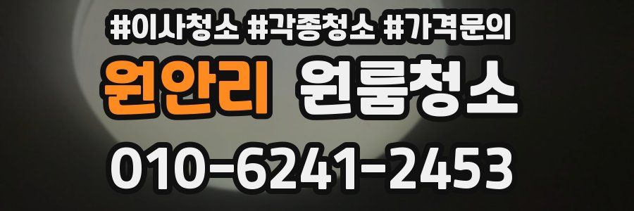 원안리 이사청소