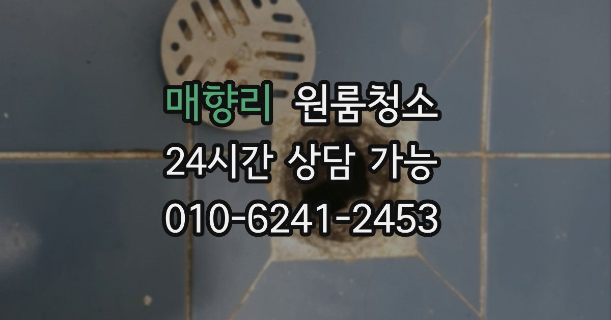 매향리 입주청소