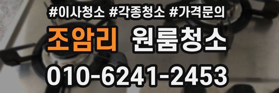 조암리 이사청소