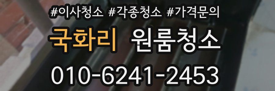 국화리 이사청소