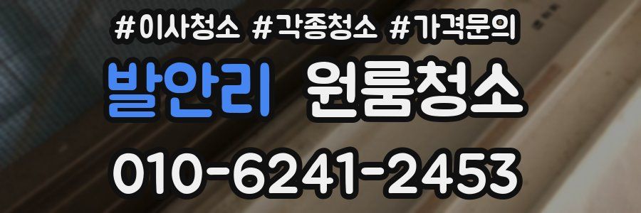 발안리 이사청소