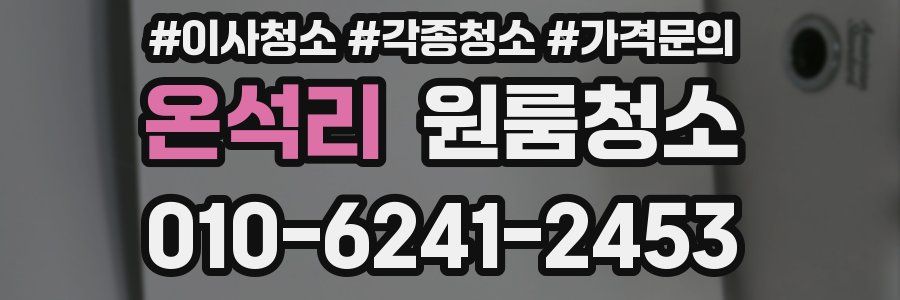 온석리 이사청소