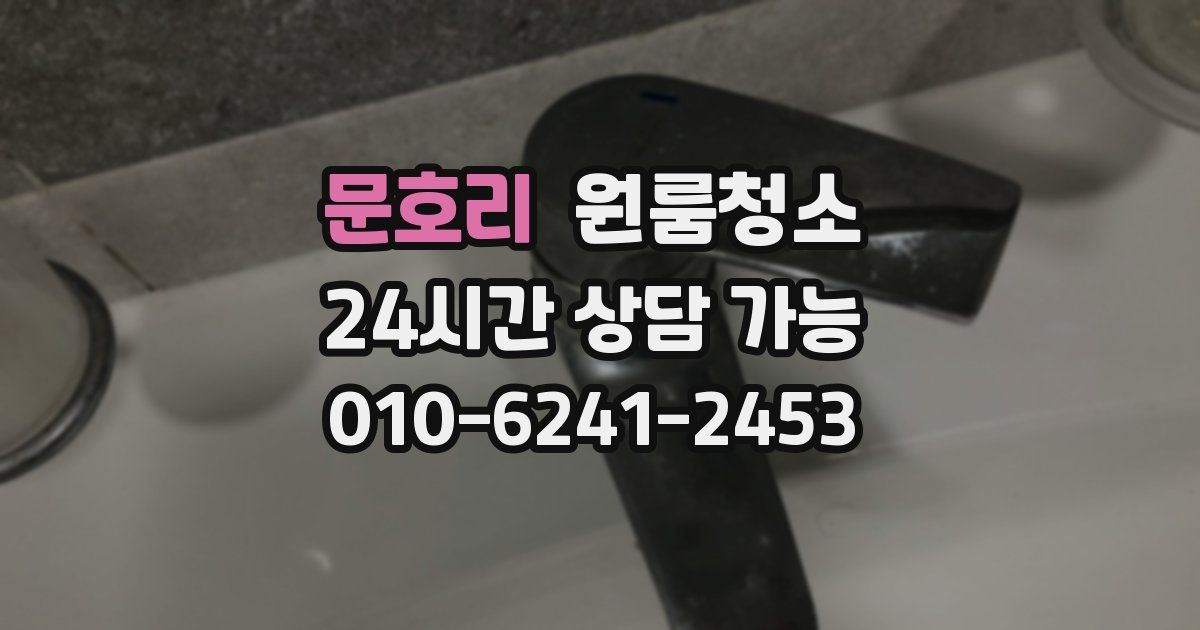 문호리 입주청소