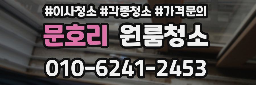 문호리 이사청소