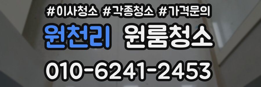 원천리 이사청소