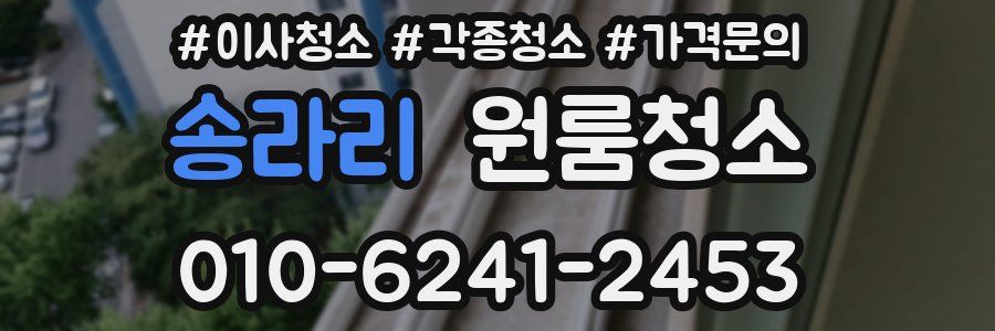 송라리 이사청소