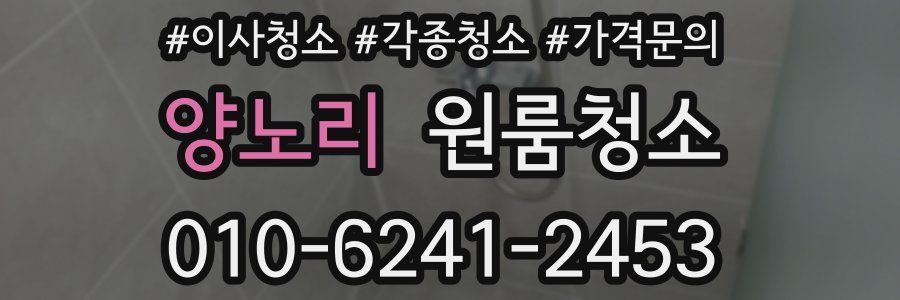 양노리 이사청소