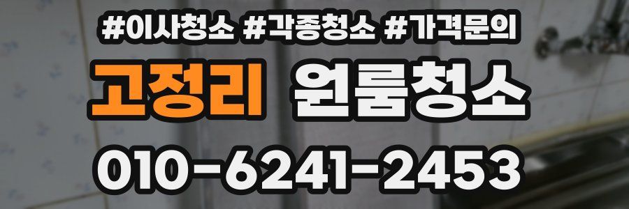 고정리 이사청소