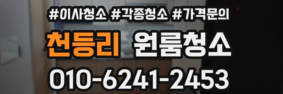 천등리 이사청소