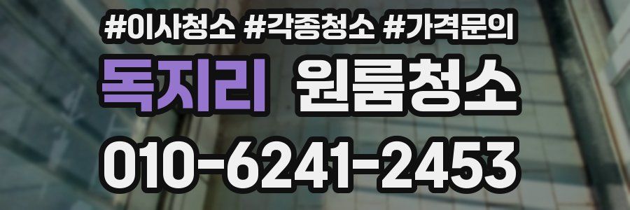 독지리 이사청소