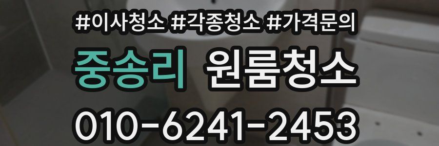 중송리 이사청소