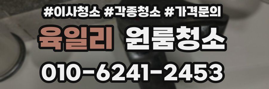 육일리 이사청소