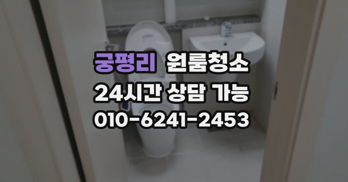 궁평리 입주청소