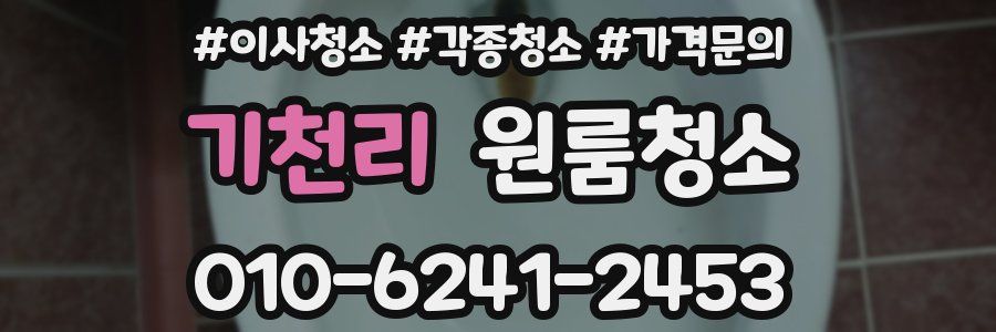 기천리 이사청소