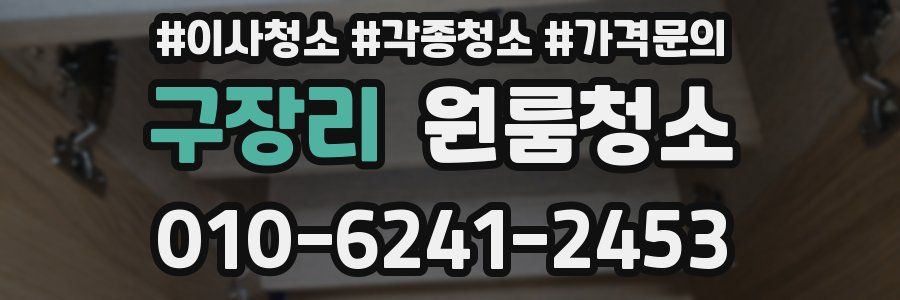 구장리 이사청소