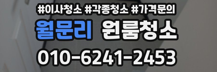 월문리 이사청소