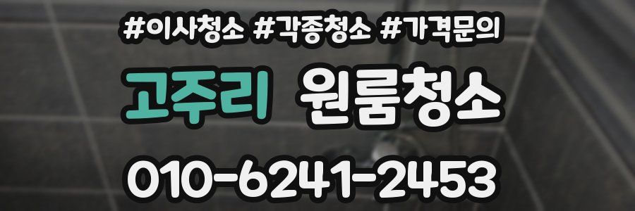 고주리 이사청소