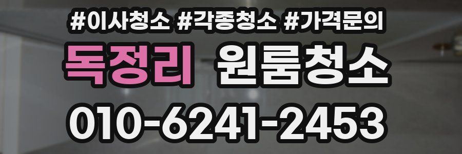 독정리 이사청소