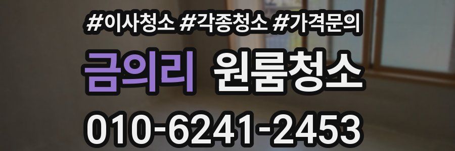 금의리 이사청소