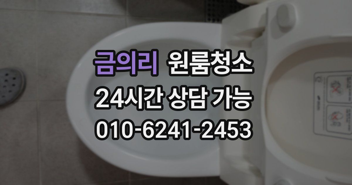 금의리 입주청소