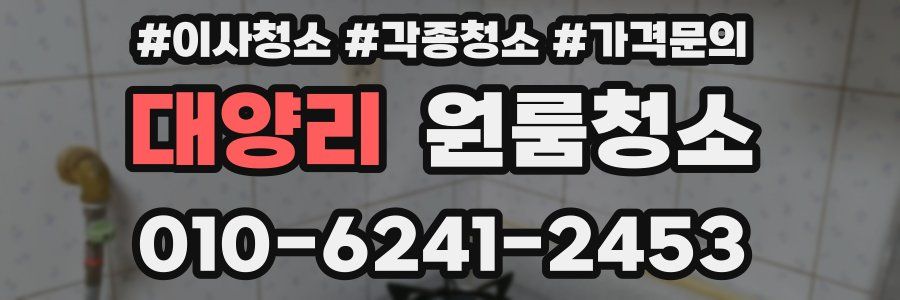 대양리 이사청소