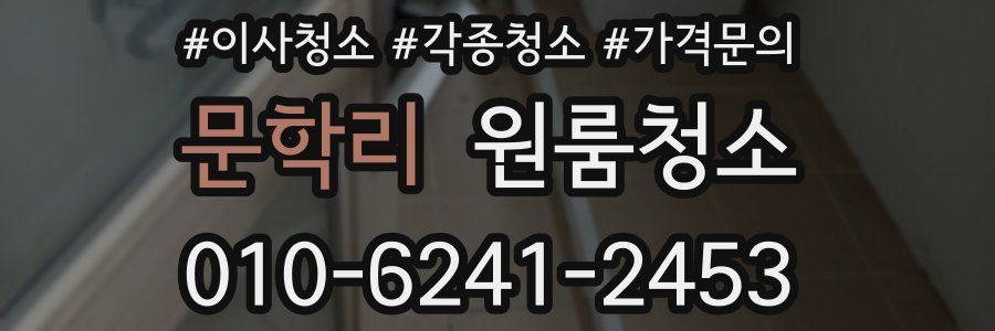 문학리 이사청소