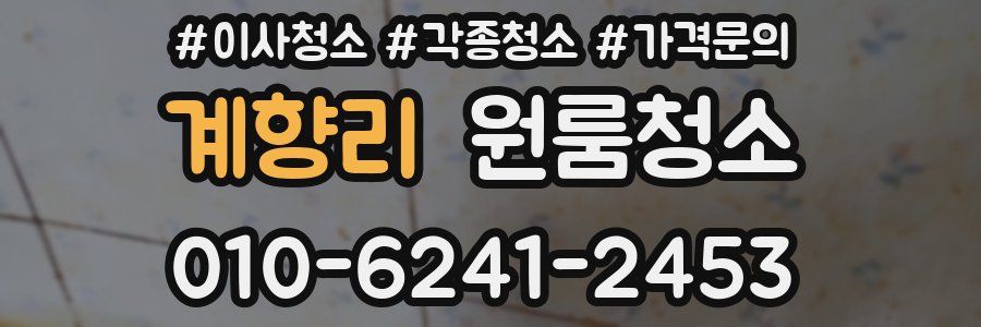 계향리 이사청소