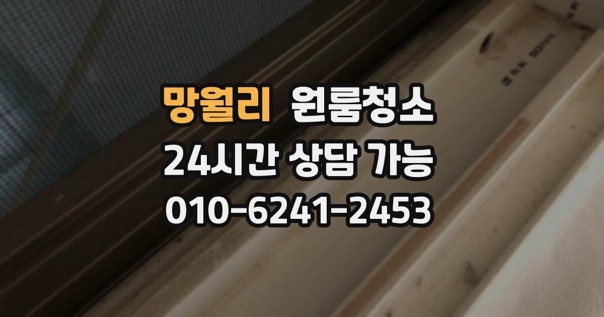 망월리 입주청소