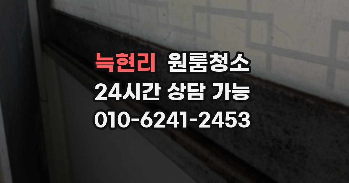 늑현리 입주청소