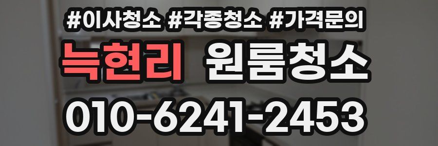 늑현리 이사청소